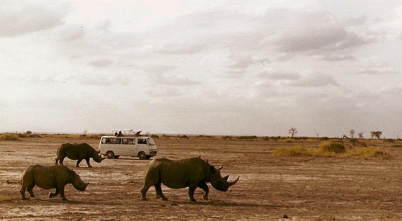 06_On Safari2_Kenya-Sept1981.jpg